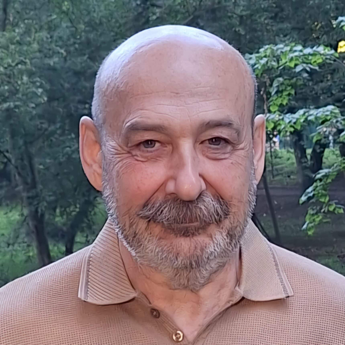 Oleh Minsky