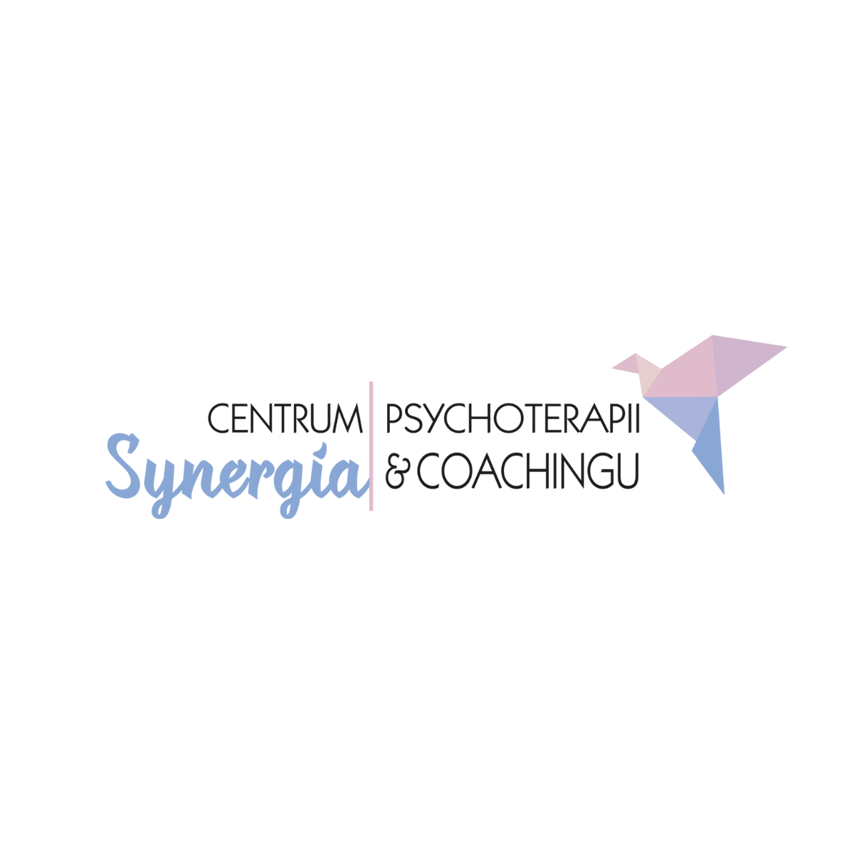 logo synergia 1200x1200 przesunięte