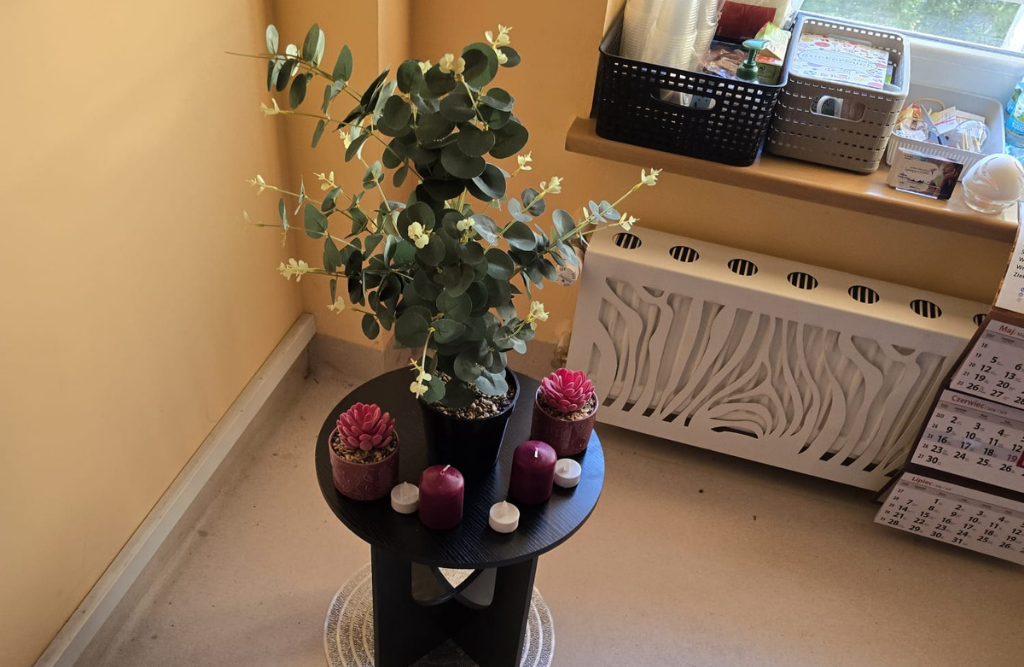 elbląg placówka synergii 2