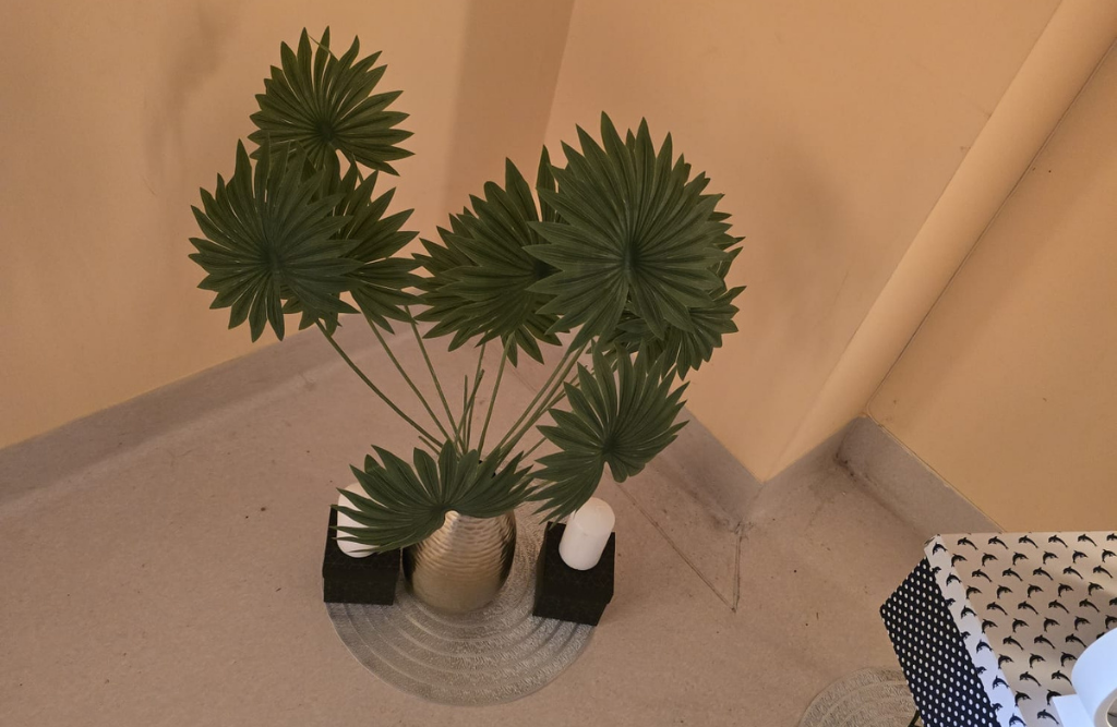 elbląg placówka synergii 4